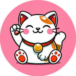 Pudgy Cat
