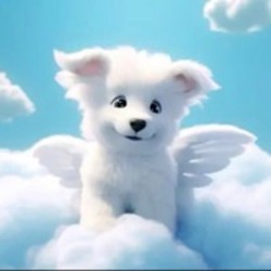Dove The Dog