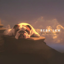 US Ambassador Animal Cruelty Law