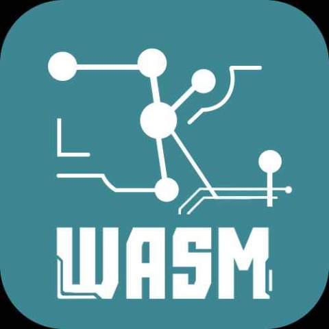 ZKWASM