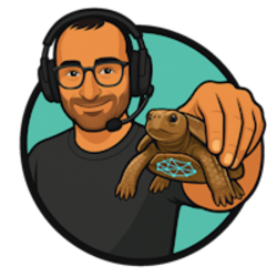 Bitcoin the Turtle Logo