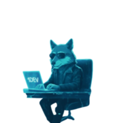1DEV