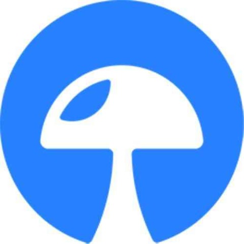 SN51/FKP: SN51 (SN51) to Falkland Islands Pound (FKP) <br />Converter & Calculator