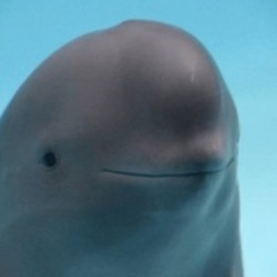 Smiling Dolphin 로고