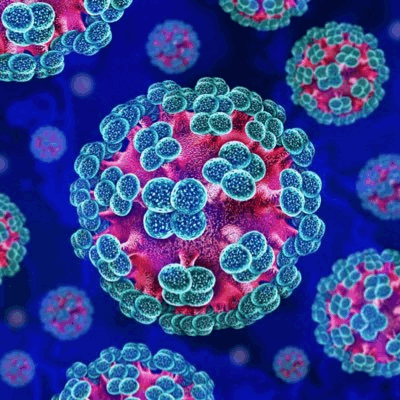 Hantavirus