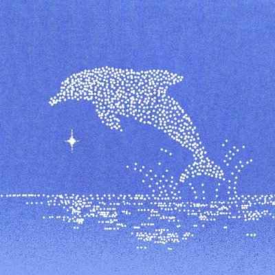 Dolphin 圖標