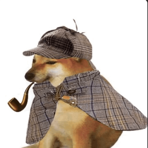 pipedog Logo