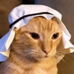 Crude Cat