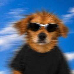 MOVER