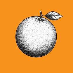 Logo de Orange Coin