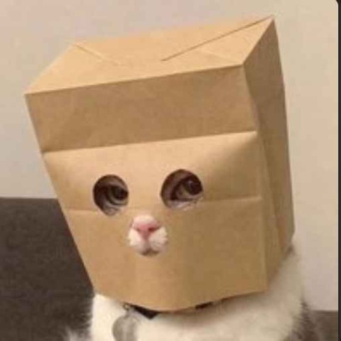 Anonymous Cat ロゴ