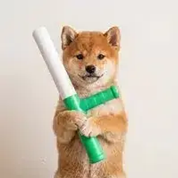 baton价格预测