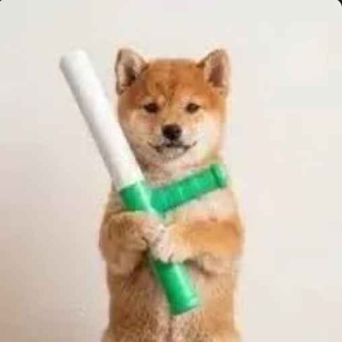 baton 图标