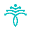 RJV/USDT