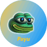 PAYU/USDT