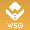 WSG/USDT
