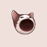 POPCAT/USDC