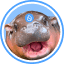 HIPPO/USDT