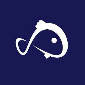 KOII/USDT