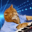 KEYCAT/USDT