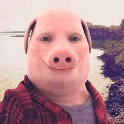 PORKSOL/USDT